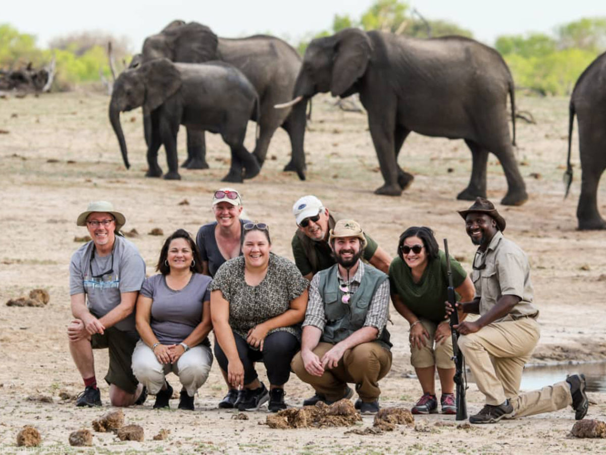 a group shot of a guided walk with Elephants