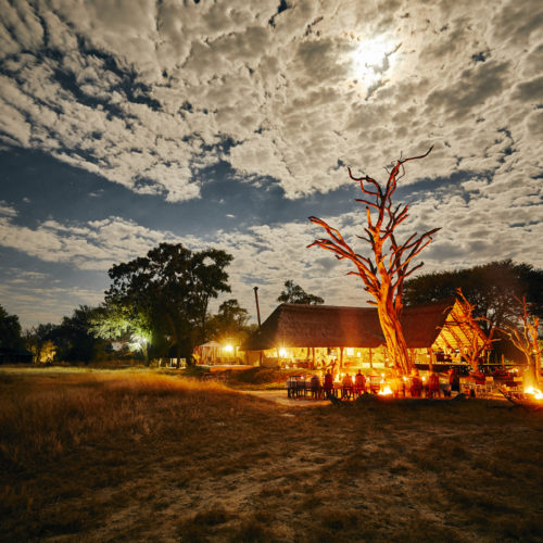 Moon over main building of Bomani Tented Camp by Imvelo Safari Lodges, Terasse mit Leadwood Trees (Ahnenbaum), am Ostende des Hwange National Park, Zimbabwe