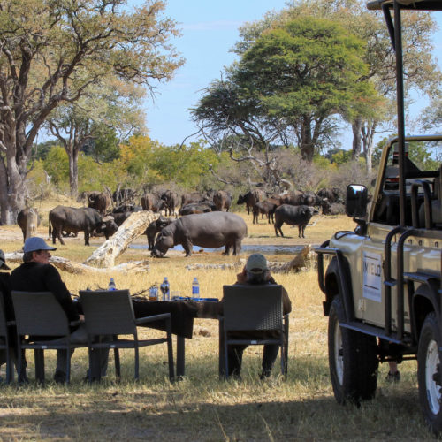 10.Zimbabwe-hwange-Camelthorn-unique-safari-experiences-africa-hidden-gems (1)