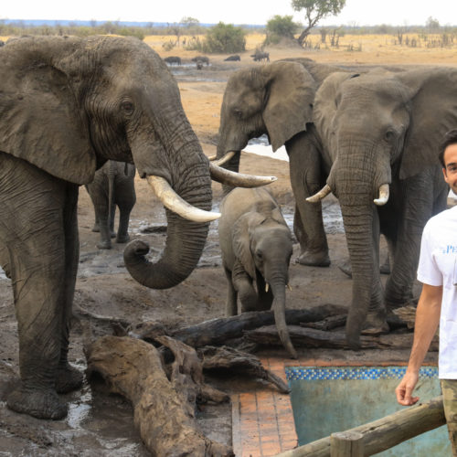 a guest being pictured next to Elephants