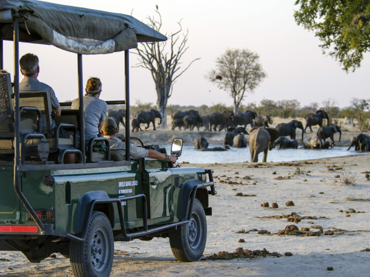 22. - Imvelo Safari Lodges - Nehimba game drives in the dry season