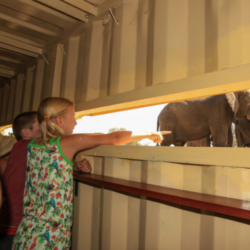 Hwange hideout with children viewing Elephants