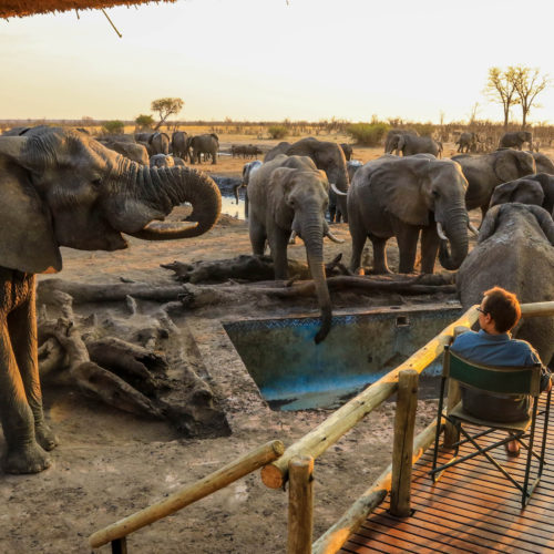 Elephant viewing deck