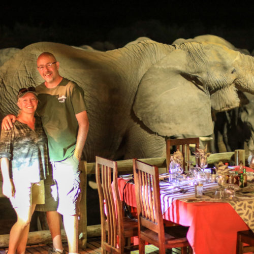 Elephants at night next to diners