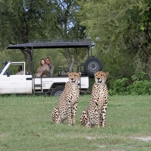 Imvelo - Bomani Tented Lodge (21)