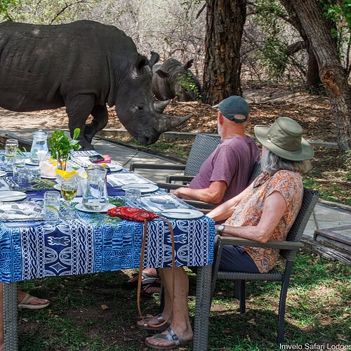 Imvelo - Bush Dining (5)