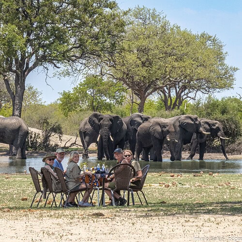 Imvelo - Bush Dining (6)