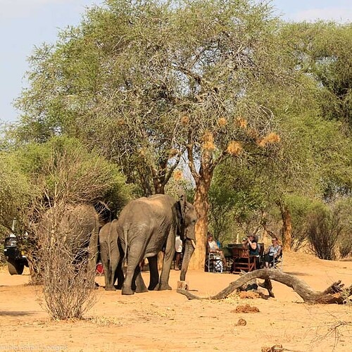 Imvelo - Jozibanini Camp (1)