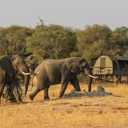 Imvelo - Jozibanini Camp (16)