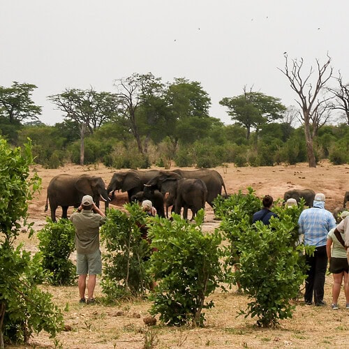 Imvelo - Jozibanini Camp (8)