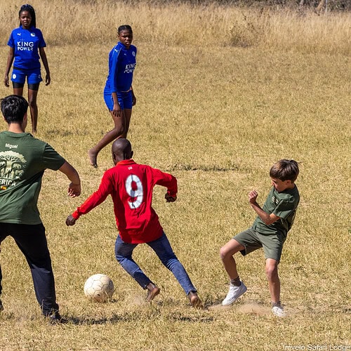 Imvelo - Kids on Safari (11)