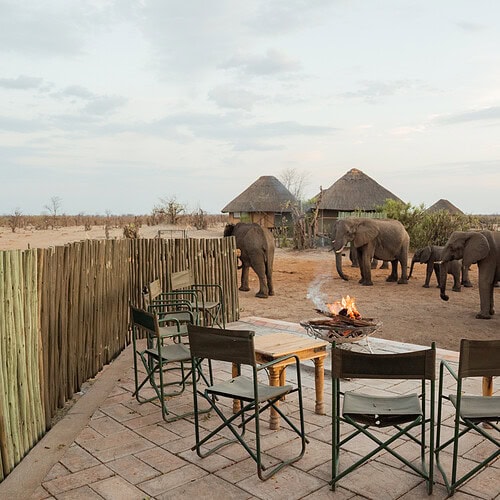 Imvelo - Nehimba Lodge (14)