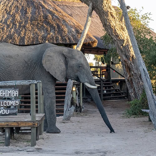 Imvelo - Nehimba Lodge (17)