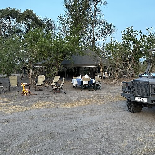 GAS Safaris 2026 (1)