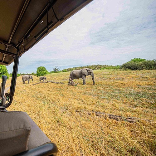 GAS Safaris 2026 (24)
