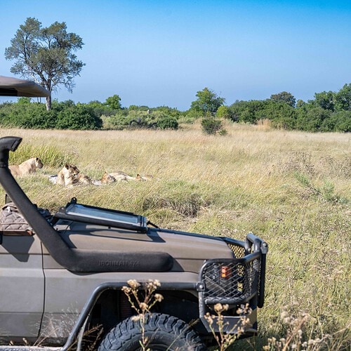 GAS Safaris 2026 (30)