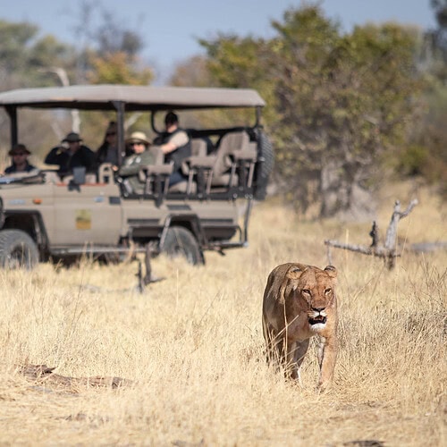 GAS Safaris 2026 (33)