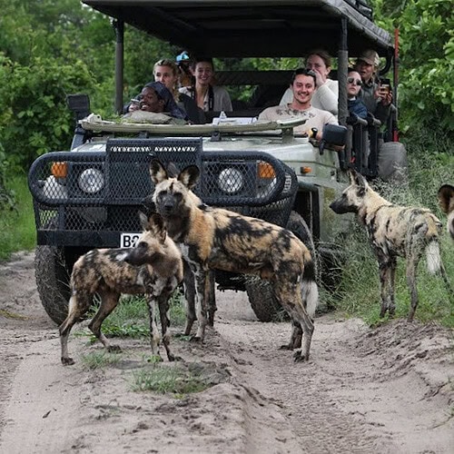 GAS Safaris 2026 (36)