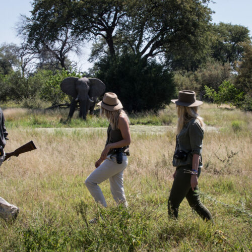 walking out in the bush on a Golden Africa Safari