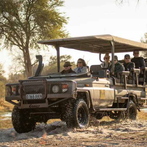 a safari vehicle out in the bush of a Golden Africa Safari