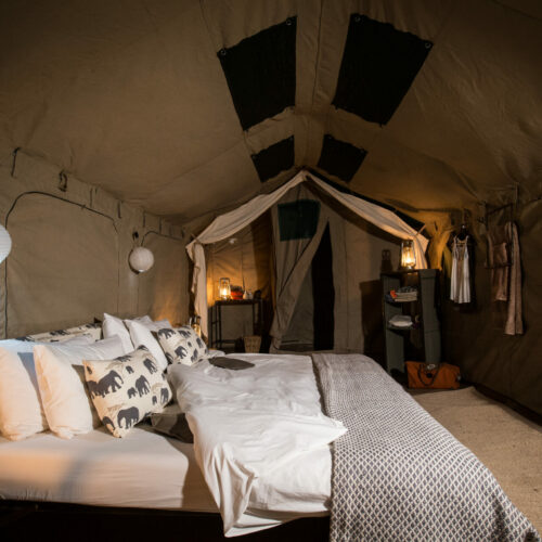 a bed inside a tent on a Golden Africa Safari