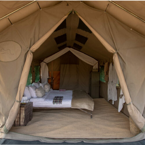 a Golden Africa Safaris tent