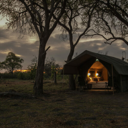 a tent in a grove of trees after sunset on a Golden Africa Safari