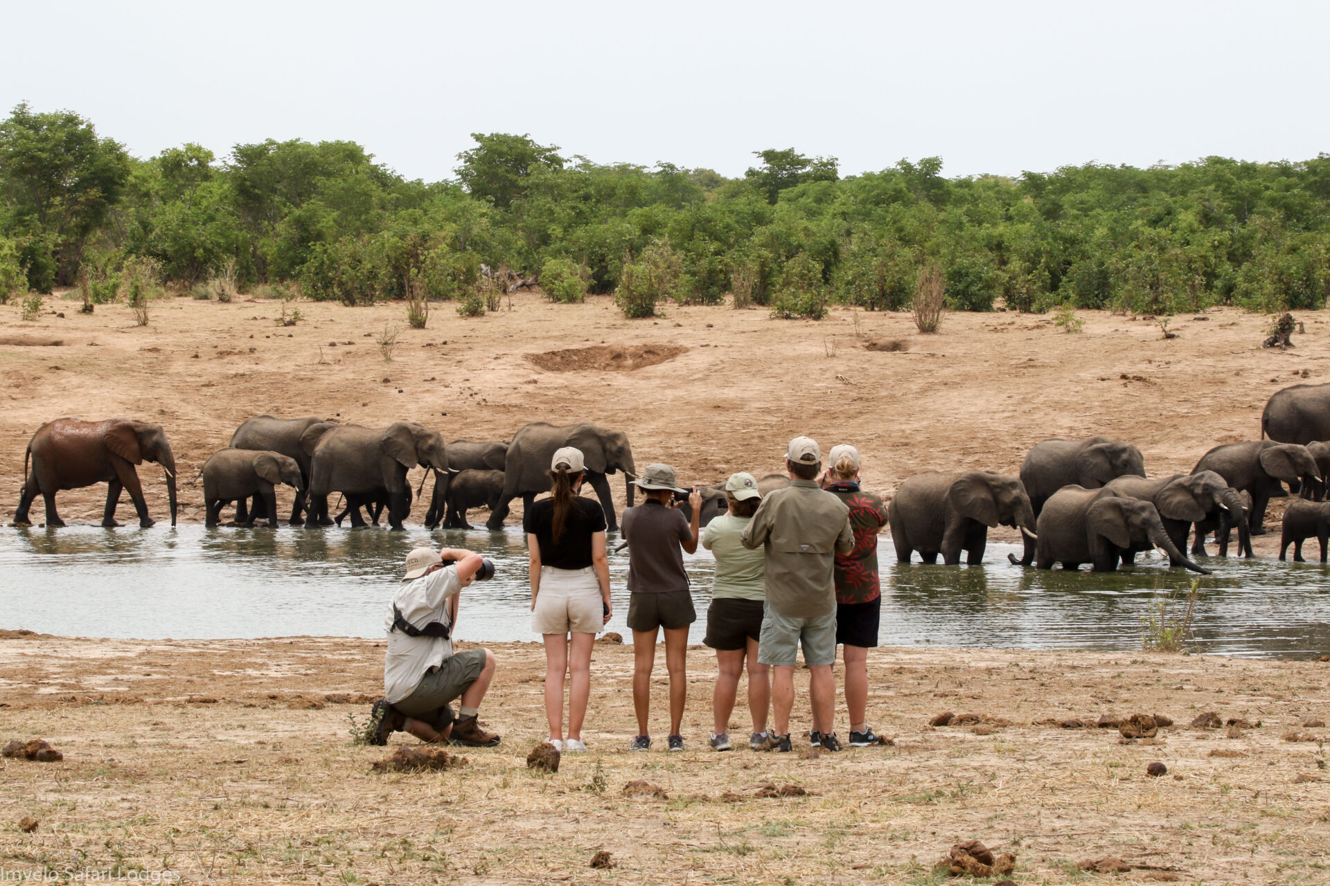 Imvelo Safari Lodges USA Fam On foot with the Elephants at Mbazu on pump run to Jozi 1 of 1 7