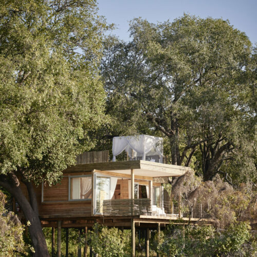 Island Treehouse suite on the Zambezi River