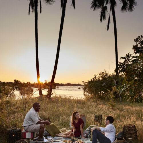 Island Treehouse guests having a picnic on the Zambezi river
