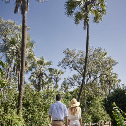A couple walking down a wooden pathway with palmtrees