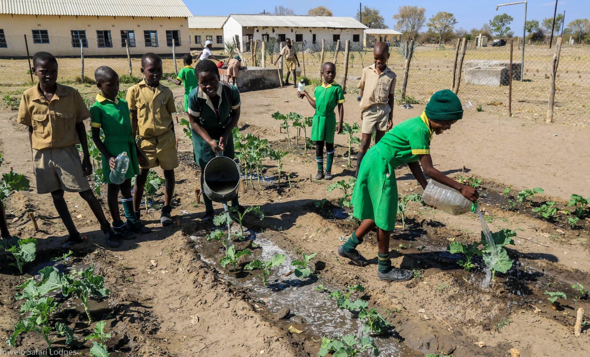 4 Imvelo Safari Lodges Community 4 vegetable gardens
