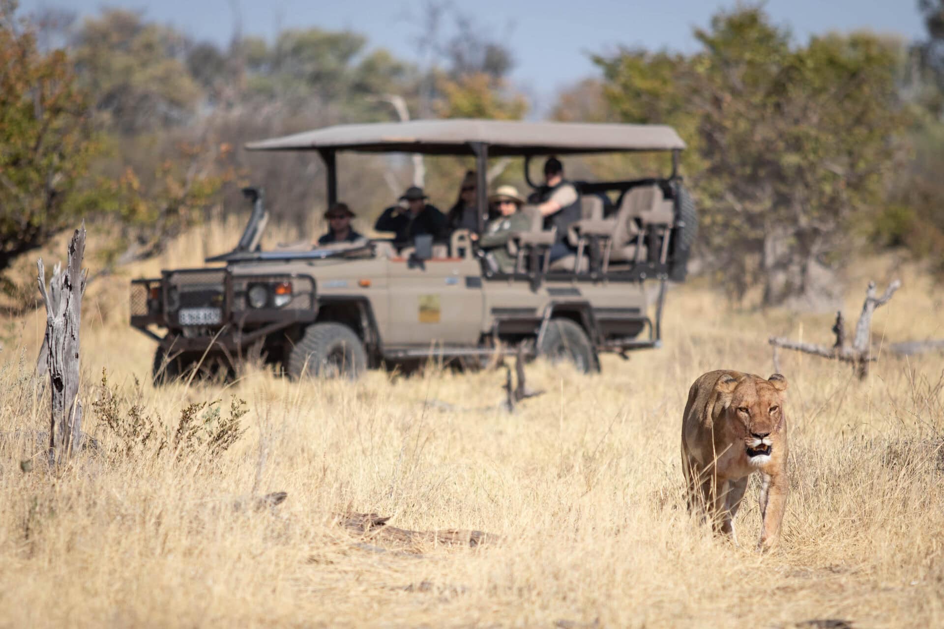 Golden Africa Safaris game drive 18