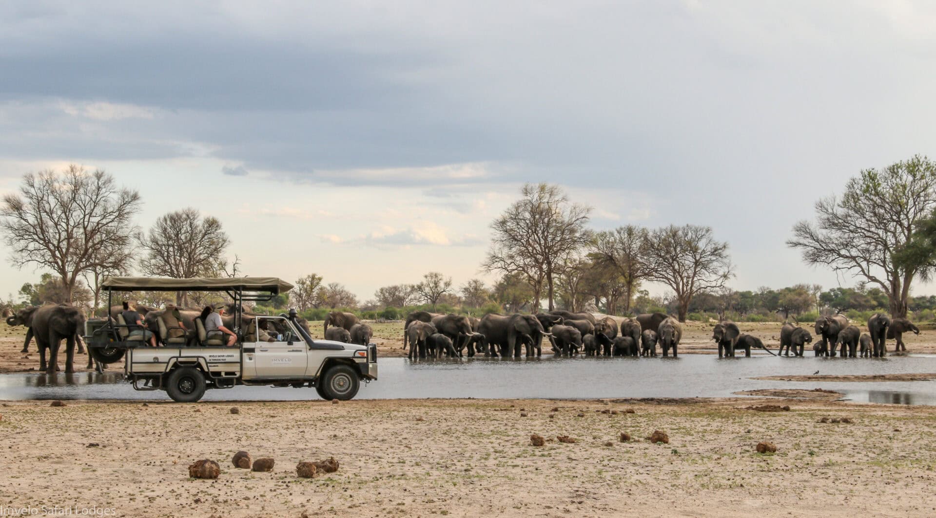 22b.Imvelo Safari Lodges Camelthorn game drives