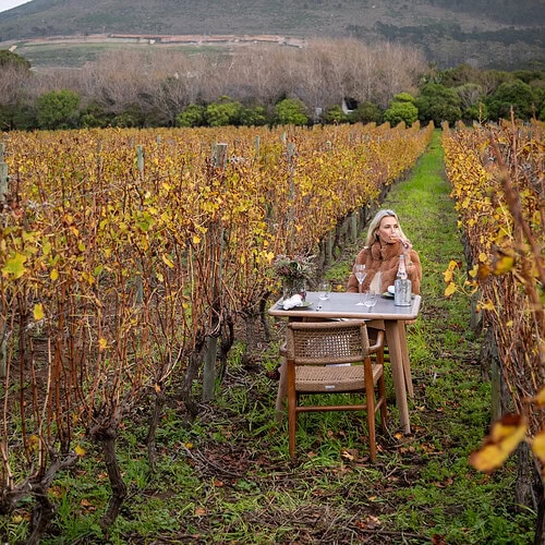 Alexander-Estate-Guided-Vineyard-Tour-009