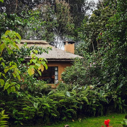 Sambora Kinigi Gallery (19)