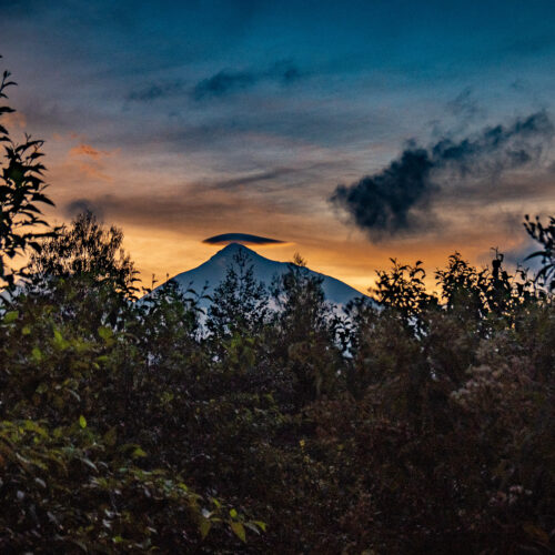 Sambora Kinigi Gallery (20)