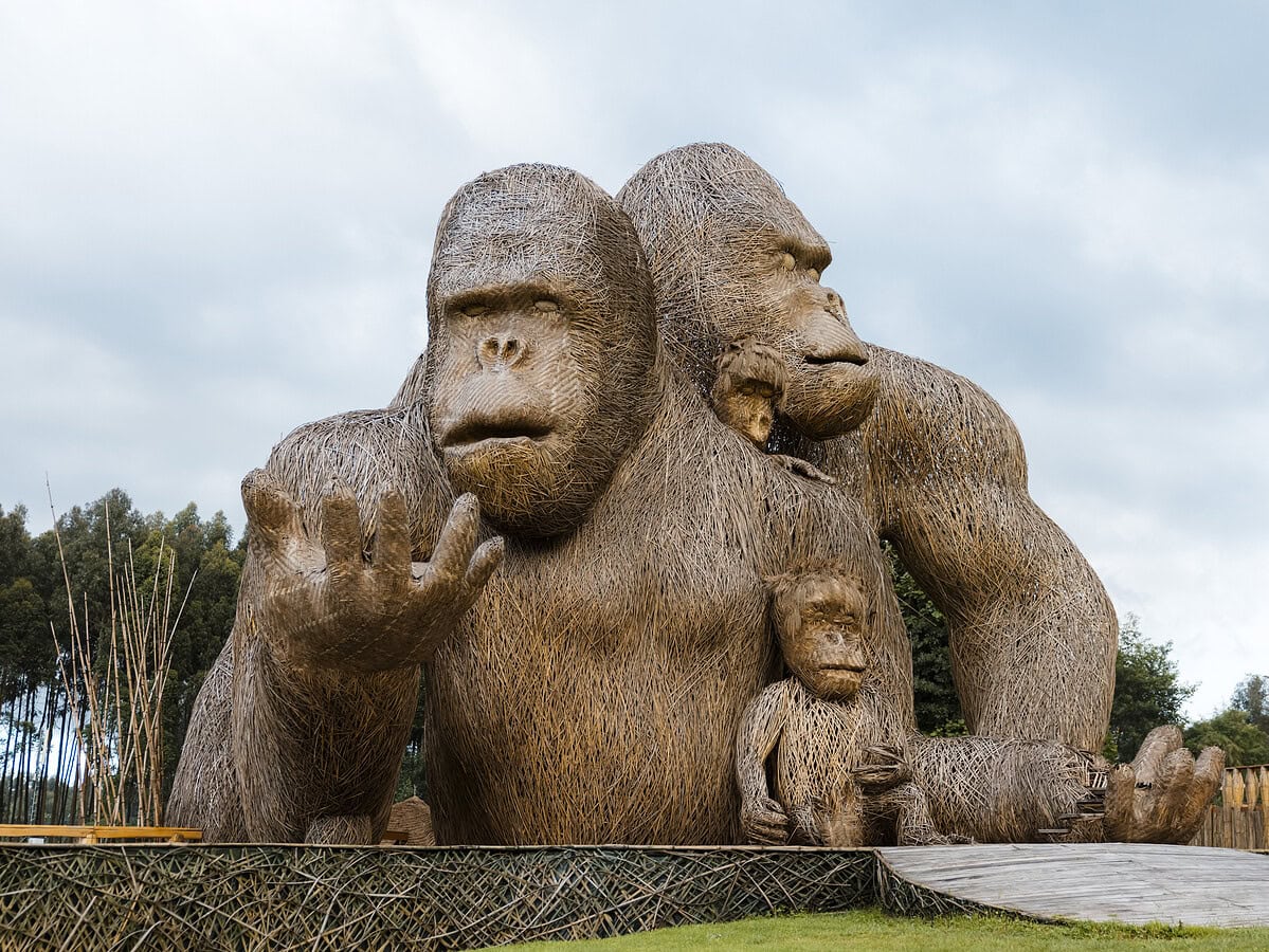 Sambora Kinigi Gallery (39)