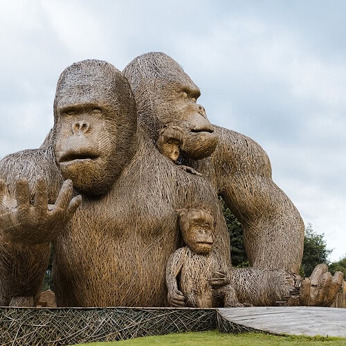 Sambora Kinigi Gallery (39)