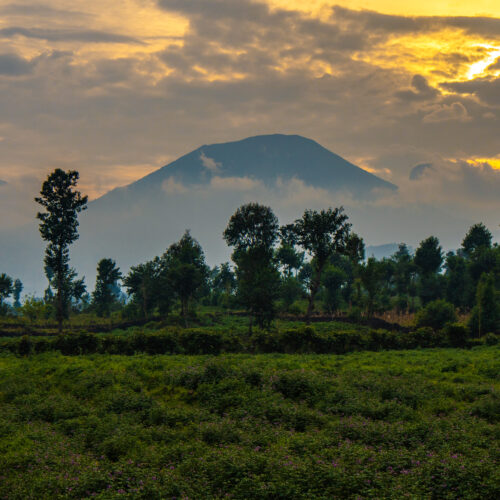 Sambora Kinigi Gallery (4)