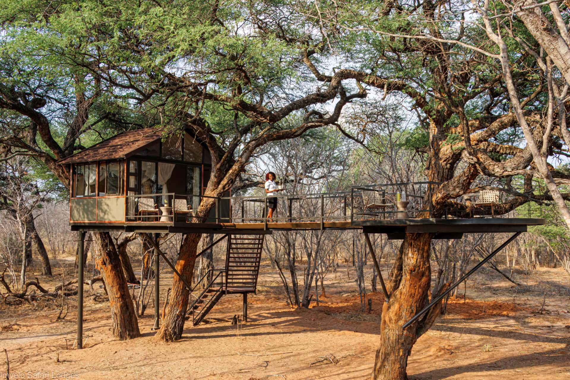 21 Imvelo Tum Tum Treehouse Goshawk 1 of 1 3 1