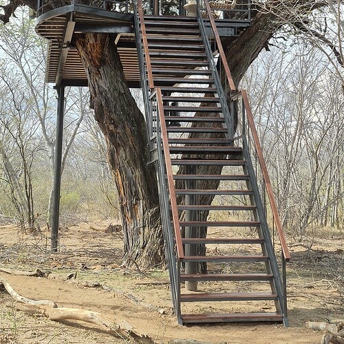 Tum Tum Treehouse Lodge (1)