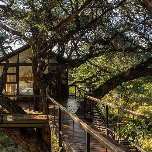 Tum Tum Treehouse Lodge (18)