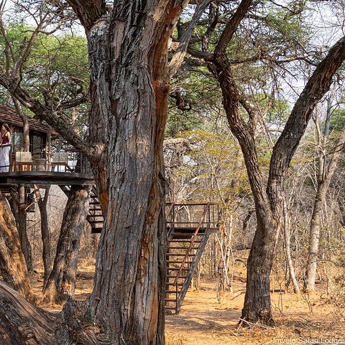 Tum Tum Treehouse Lodge (19)