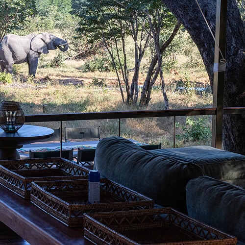 Tum Tum Treehouse Lodge (2)