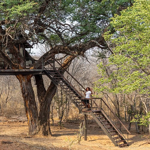Tum Tum Treehouse Lodge (23)