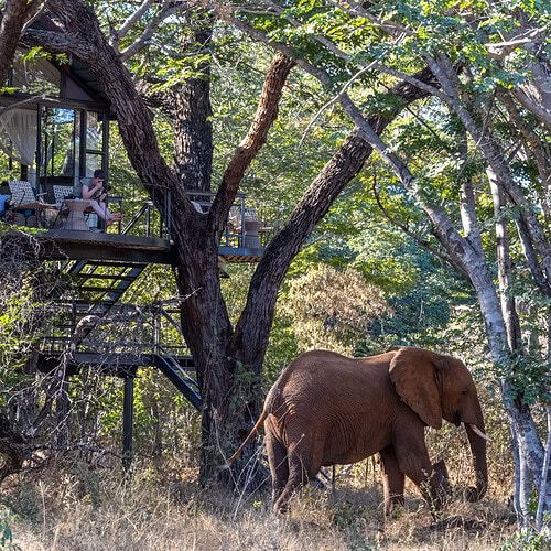 Tum Tum Treehouse Lodge (3)