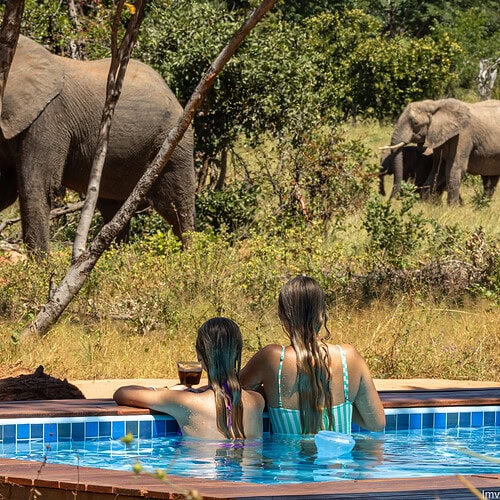 Tum Tum Treehouse Lodge (34)