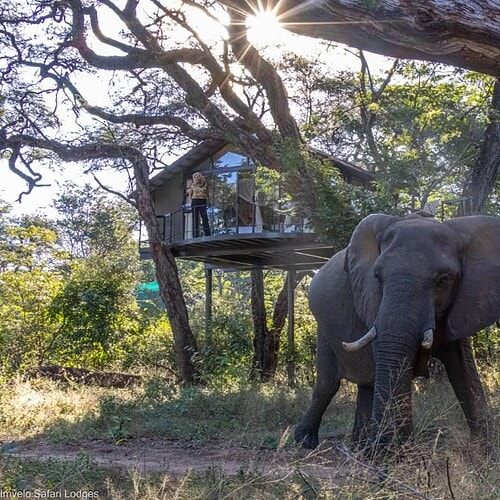 Tum Tum Treehouse Lodge (39)