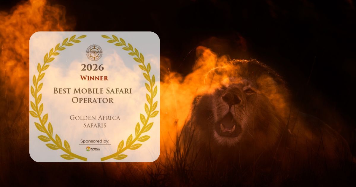 Recognition that Reflects the Heart of Golden Africa Safaris 1 Untitled design 61